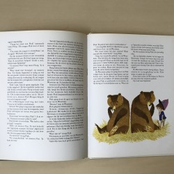 Annie M.G. Schmidt : Pluk redt de dieren