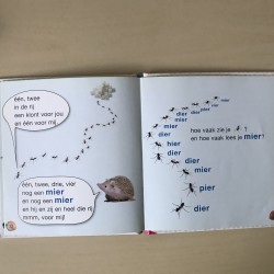 Hoe vaak zie je vis?. Kleuters, samenleesboek