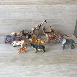 12 wilde dieren.