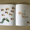 Eric Carle : Liefs van Rupsje Nooitgenoeg