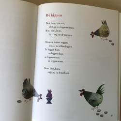 Het gouden Fiep boek. ( groot)