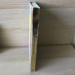 Het gouden Fiep boek. ( groot)