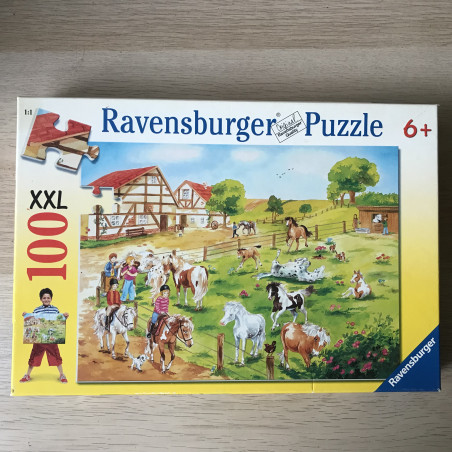 Ponykamp. 100 XXL stukjes