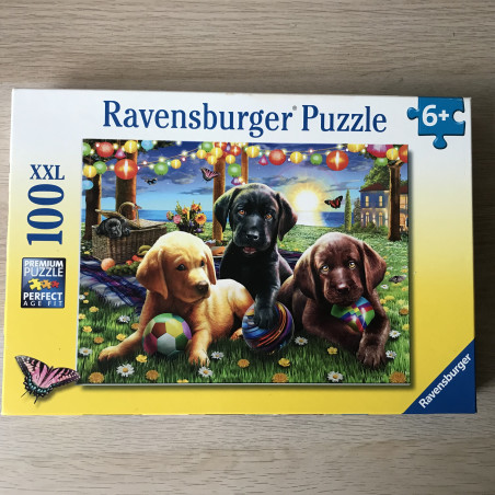Honden Picknick. 100 XXL stukjes