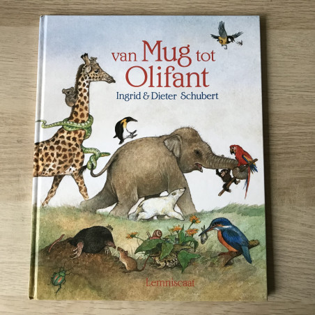 Van Mug tot Olifant