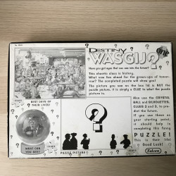 Wasgij : Destiny puzzel nummer 1. Best days of their lives. 1000 stukjes