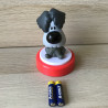 Woezel en Pip: Nachtlampje