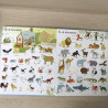 Het leukste Kijkwoordenboek