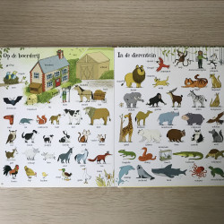 Het leukste Kijkwoordenboek
