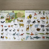 Het leukste Kijkwoordenboek