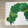 copy of Eric Carle : Rupsje Nooitgenoeg