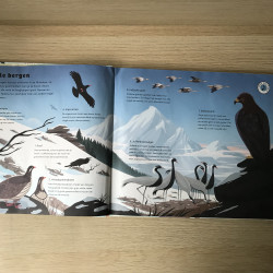 Natuurgeluiden: overal vogels.
