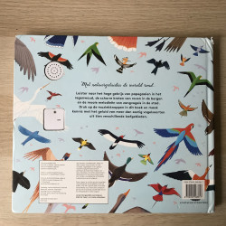 Natuurgeluiden: overal vogels.