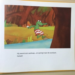Max Velthuijs: Kikker speelt verstoppertje.