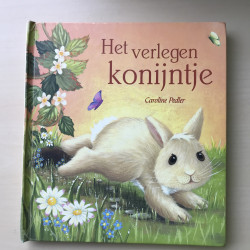 Het verlegen konijntje