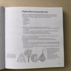 Bres spelenboek  (spellenboek)