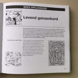 Bres spelenboek  (spellenboek)