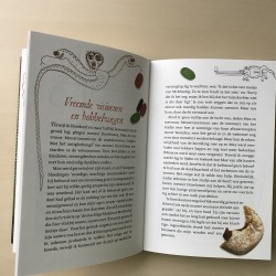 De monsterlijke memoires van een Machtige McMoedig