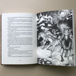 Sam Blink en het verboden bos
