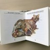 Beatrix Potter : Tales of Peter Rabbit.