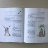 Vuurvliegjes, tovervisjes en schatgravers