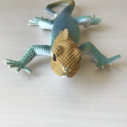 Hagedis / salamander