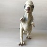 Dinosaurus