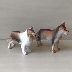 2 Honden