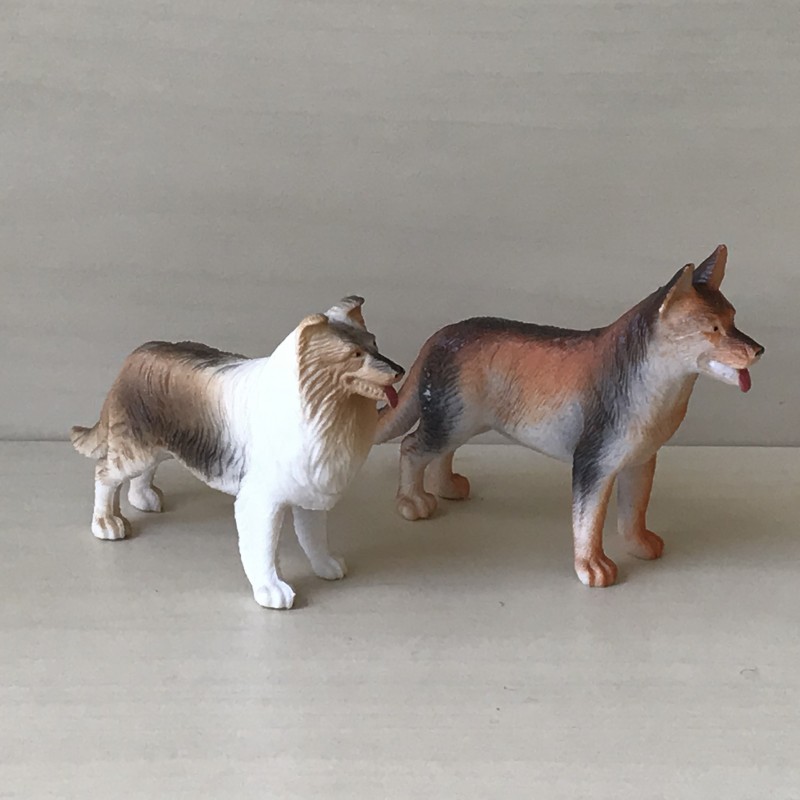 2 Honden
