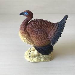 Kalkoen