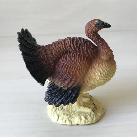 Kalkoen