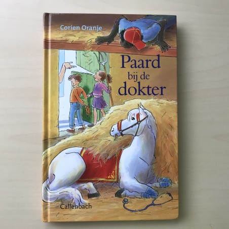 Corien Oranje : Paard bij de dokter