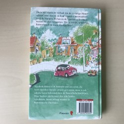 Steenstraat 45 & 47 ( en alles wat er is gebeurd). Deel 1
