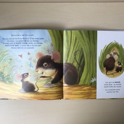 Kleine muis ontdekt de wereld