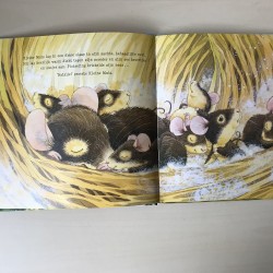 Kleine muis ontdekt de wereld