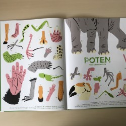 Zoom in op dieren