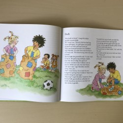 Vivian den Hollander : Kampioen op krukken