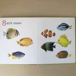 Kijk en leer: Tellen