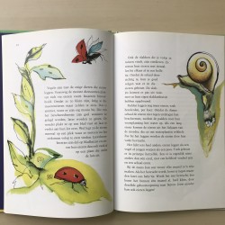 Het grote moment: hoe dieren geboren worden