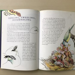 Het grote moment: hoe dieren geboren worden