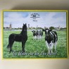 Wiebe van der Zee : Friesland. 1000 stukjes.
