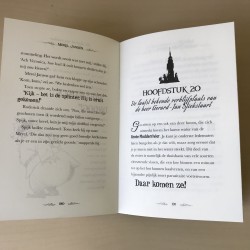 Will Mabbitt : Merel Jansen en de verboden stad.