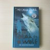 Torak en Wolf deel 6: De geestenjager.