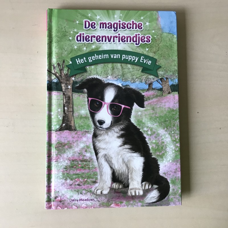 De  Magische dierenvriendjes : Het geheim van puppy Evie
