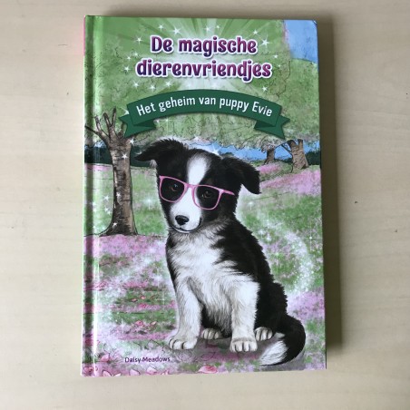 De  Magische dierenvriendjes : Het geheim van puppy Evie