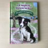 De  Magische dierenvriendjes : Het geheim van puppy Evie
