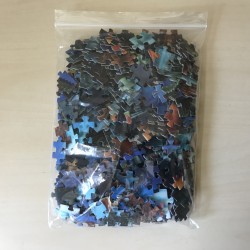 3D Puzzel 500 stukjes. Onderwaterleven