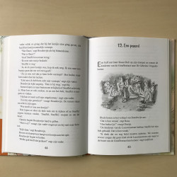 De giraffestraat : De geheime indiaan