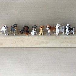 8 kleine hondjes. Set 2