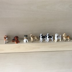 8 kleine hondjes. Set 1